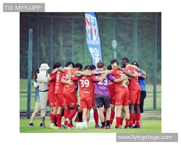 以足球星12号为核心探秘球队崛起背后的荣耀与激情故事