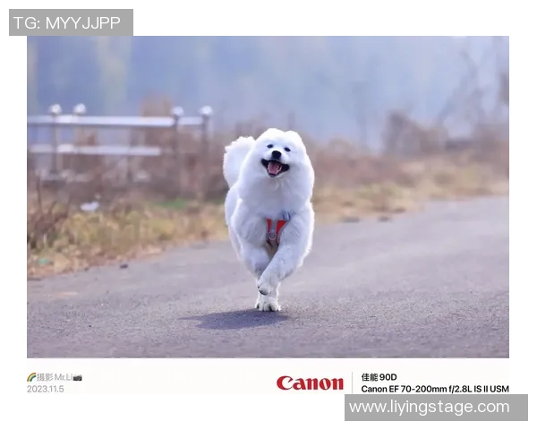 足球球星们的萌宠狗狗大曝光：明星与宠物的温馨日常和情感故事